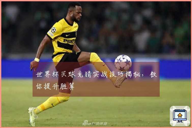 世界杯买球竞猜实战技巧揭秘，教你提升胜算