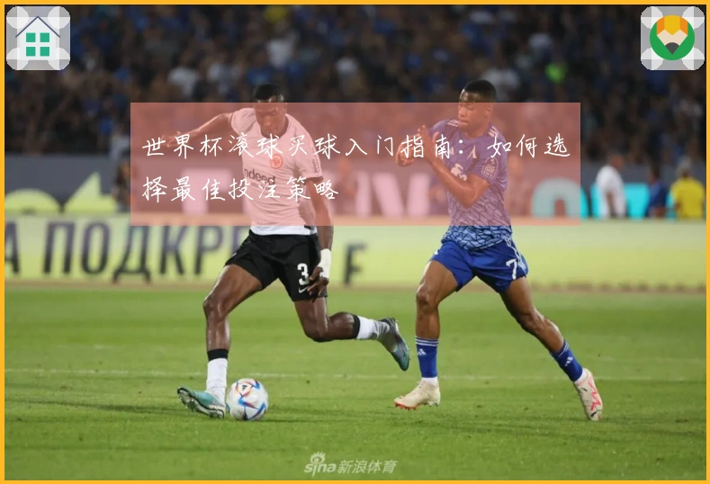 世界杯滚球买球入门指南：如何选择最佳投注策略