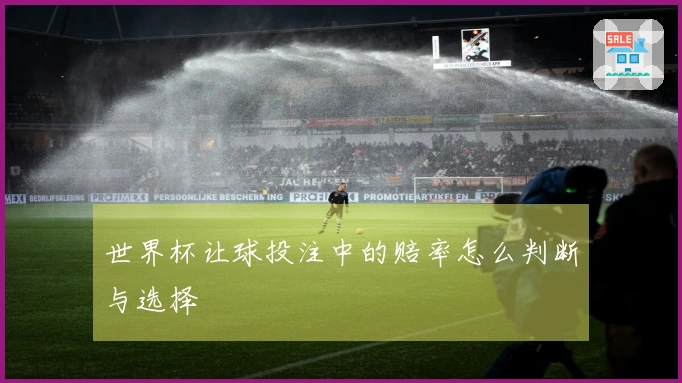 世界杯让球投注中的赔率怎么判断与选择