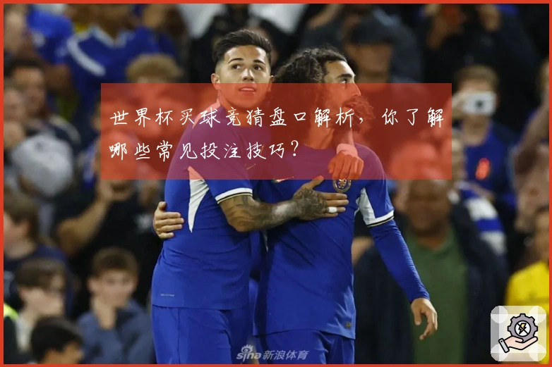 世界杯买球竞猜盘口解析，你了解哪些常见投注技巧？