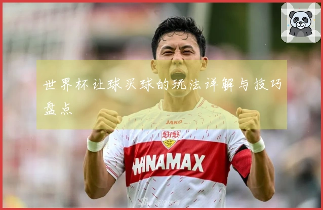 世界杯让球买球的玩法详解与技巧盘点