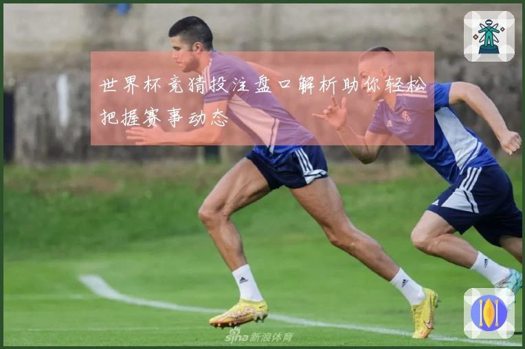 世界杯竞猜投注盘口解析助你轻松把握赛事动态