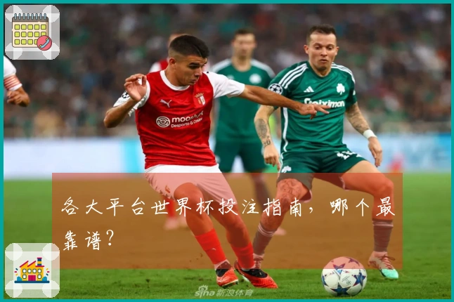 各大平台世界杯投注指南，哪个最靠谱？
