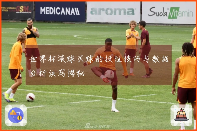 世界杯滚球买球的投注技巧与数据分析诀窍揭秘