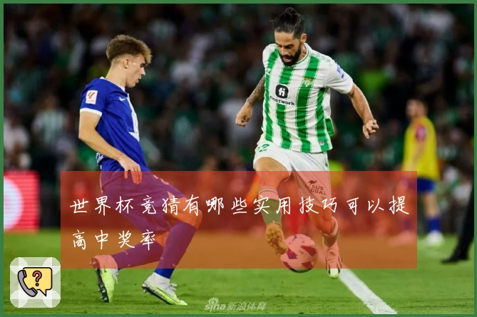 世界杯竞猜有哪些实用技巧可以提高中奖率