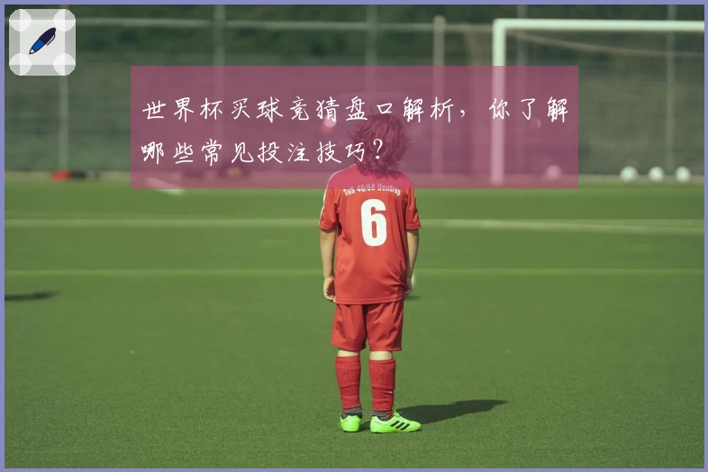 世界杯买球竞猜盘口解析，你了解哪些常见投注技巧？