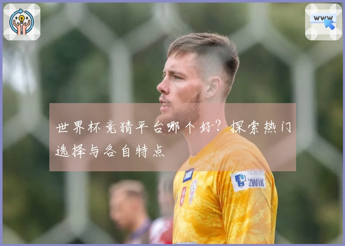 世界杯竞猜平台哪个好？探索热门选择与各自特点