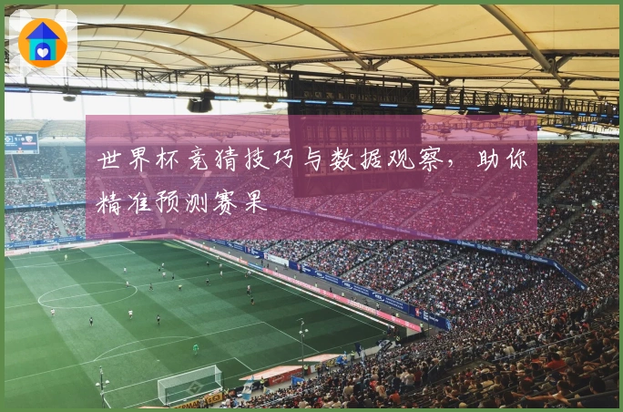 世界杯竞猜技巧与数据观察，助你精准预测赛果